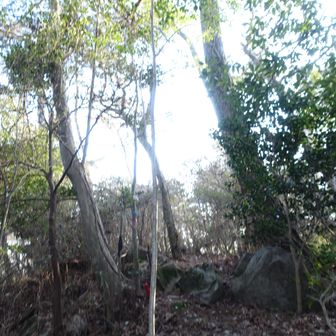 ③西谷山に到着⛰️