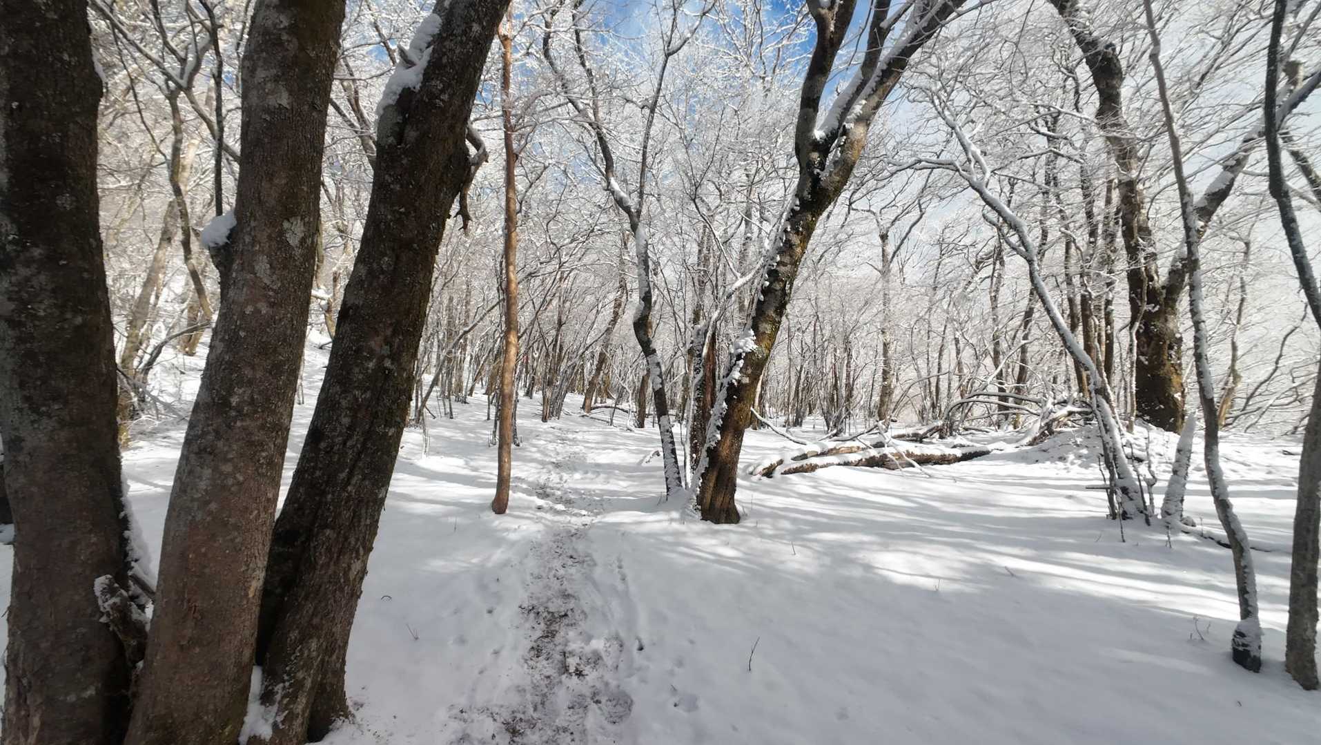一面雪ですがチェーンスパイクとか必要ありません