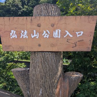 ここから、山道になります。