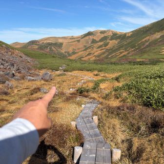 お天気いいので…
千畳ヶ原までお山歩します