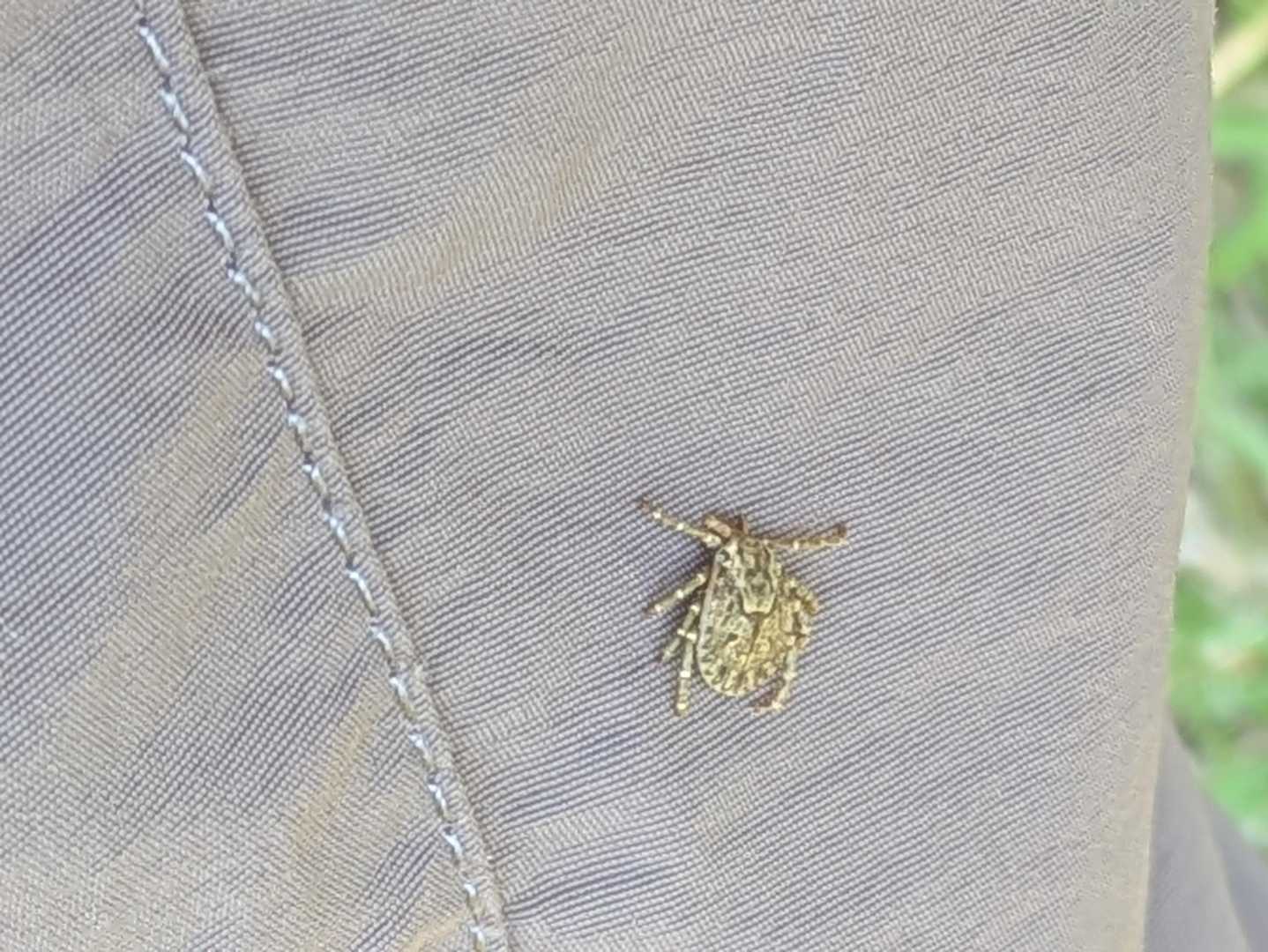 マダニが😑
デコピンで撃退🤛