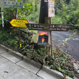 いざ大倉尾根