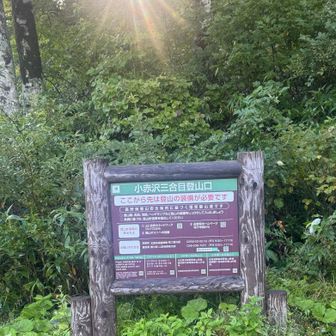 小赤沢三合目登山口🥾

駐車場の1番奥です。