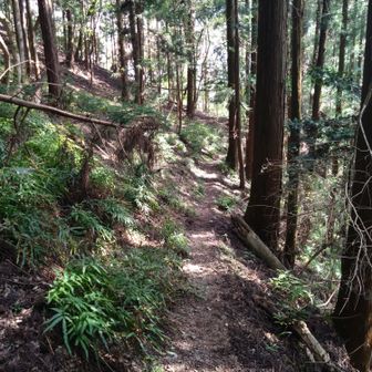狭い道が多く、神経を使う😮‍💨
その先で２度も道に迷い…　
なんとか皆野駅到着。
皆野駅、電車待ち時間３分！
奇跡！！
明日から仕事なので、まっすぐ帰りまーす♪
お疲れ山😙
