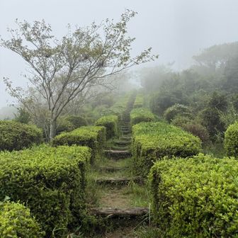 整備されてるね
天空への階段