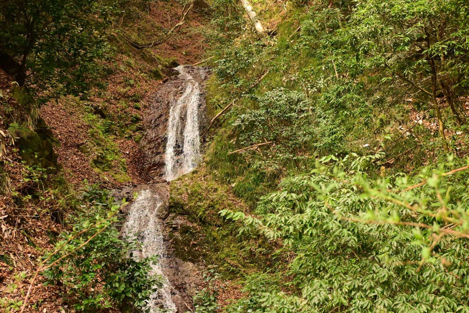 三森山 周回コースの写真