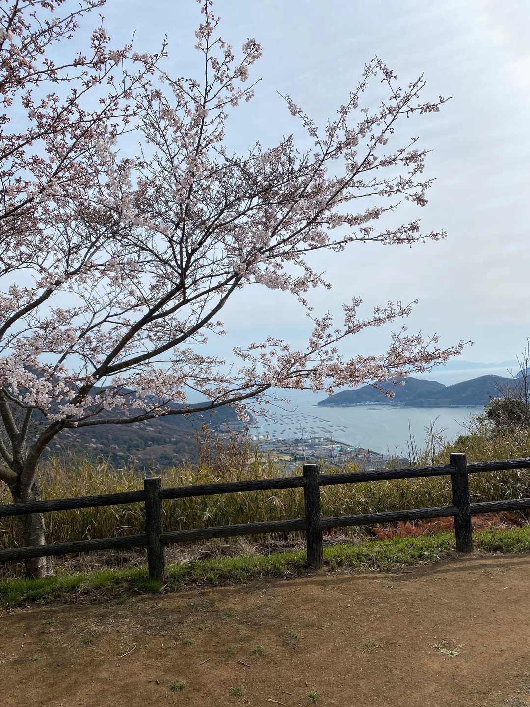 山頂から相生湾を眺めます🏖