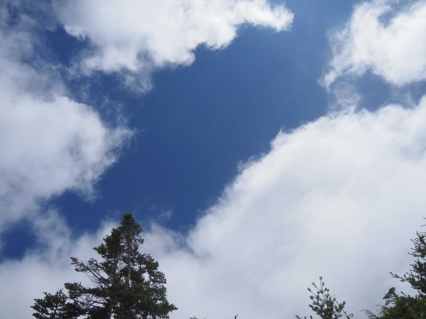 篭ノ登山-池ノ平湿原入口-雷の丘-雲上の丘-見晴岳-三方ヶ 縦走コースの写真