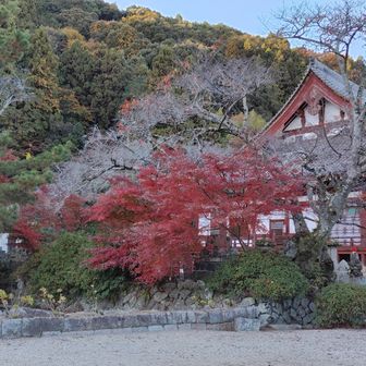矢田寺