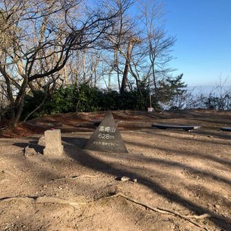 頂上までは激アツのサル群の演出は見れておりません