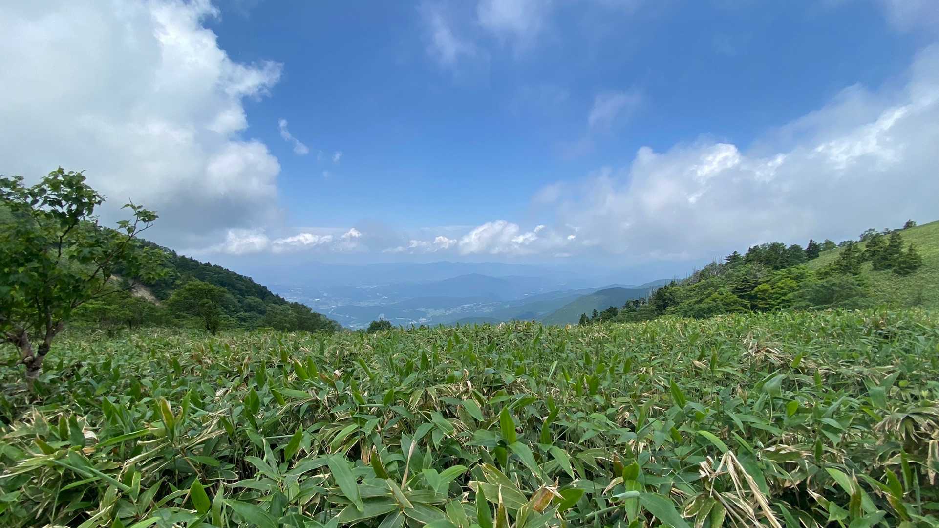 やっぱり晴れると景色は抜群ですね😄