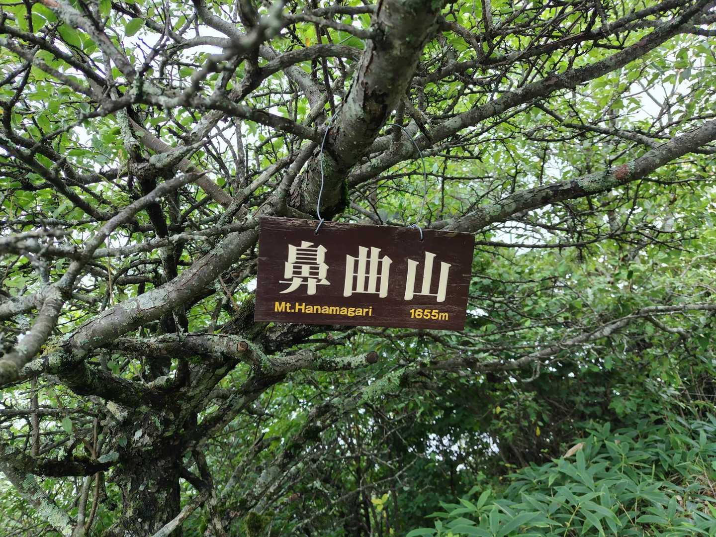 山頂！展望なし😕
