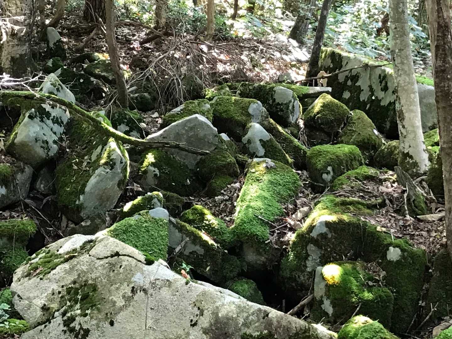 岩海があります