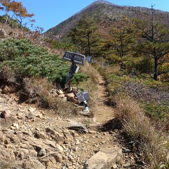 幌満お花畑分岐