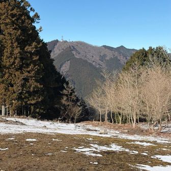突先山と大山