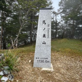 やったー🙌
鷹ノ巣山の山頂に到着です🥳