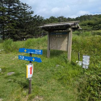 ここが山頂