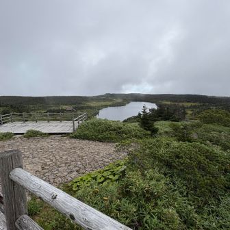 八幡沼