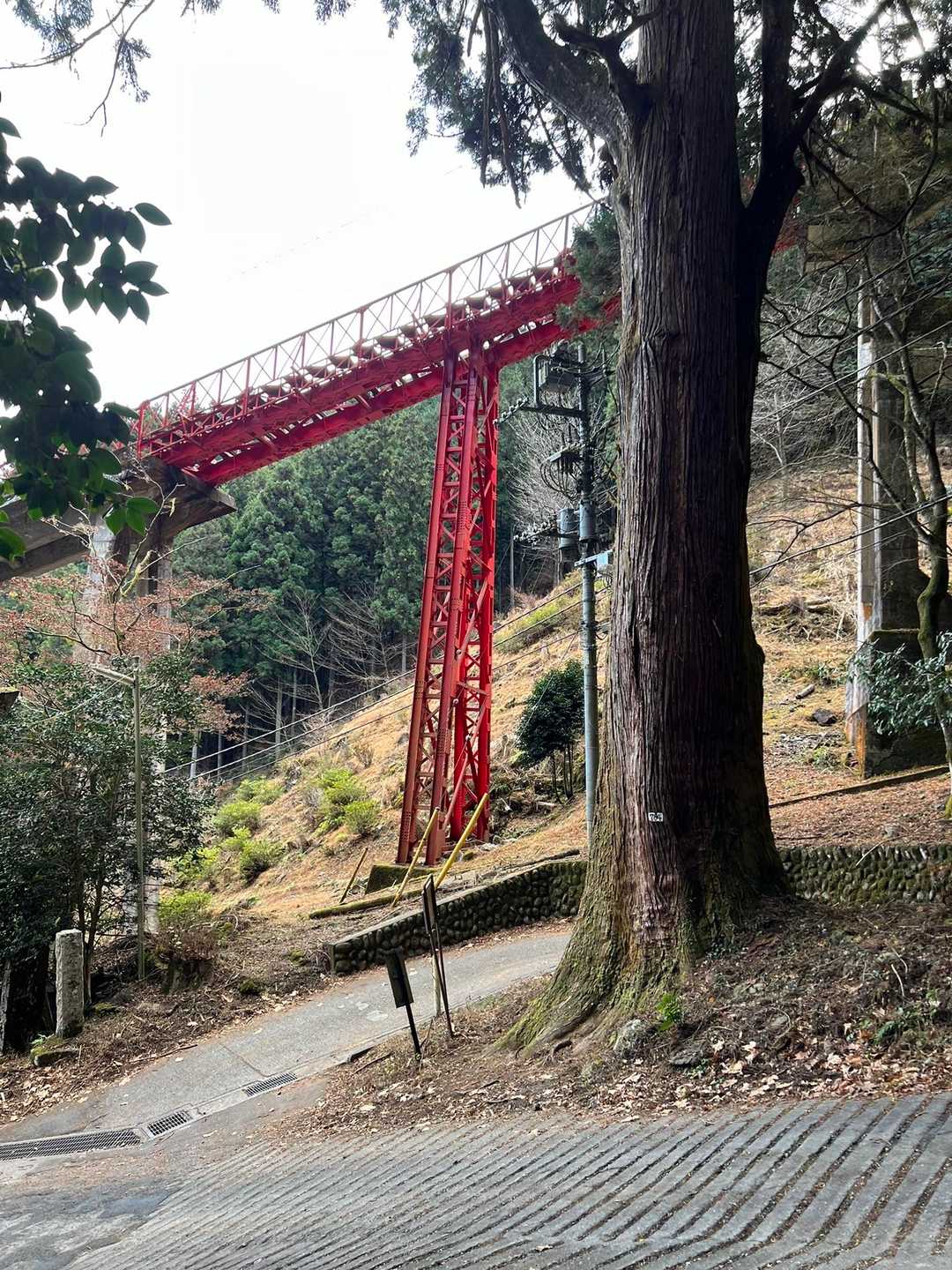 ケーブルカーは乗らずに歩きます🚶‍♀️