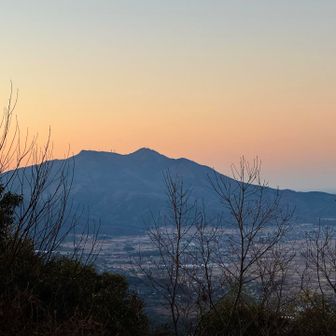 あそこがゴール 🐸 行けるのかなぁ…
