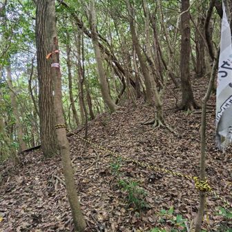 深切山までは丁寧にロープが張ってある
整備されたメインルートです😊