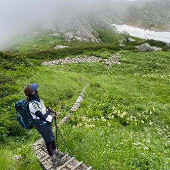 ソックス(お休み中💤)