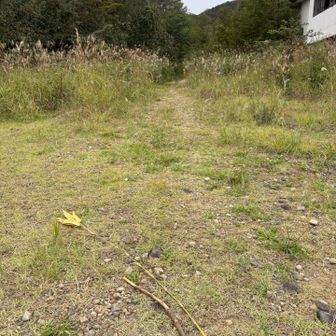 相棒置いときました。心強かった2本です。ぜひ使ってください🪾