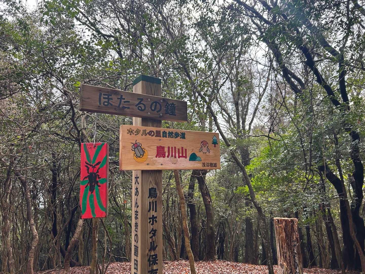 愛宕山-京ヶ峯-七曲峠-ホド田山-音羽富士-古坂峠 周回コースの写真