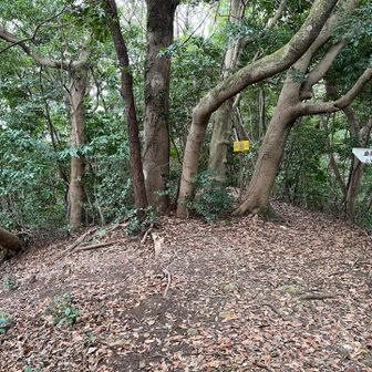 最後の湯川山目指して、垂水峠へ降りますよ