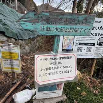 クマが出た？🐻