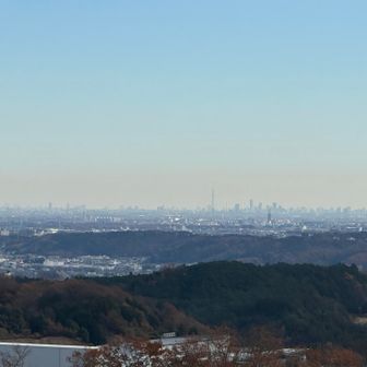 スカイツリーも見えた😳