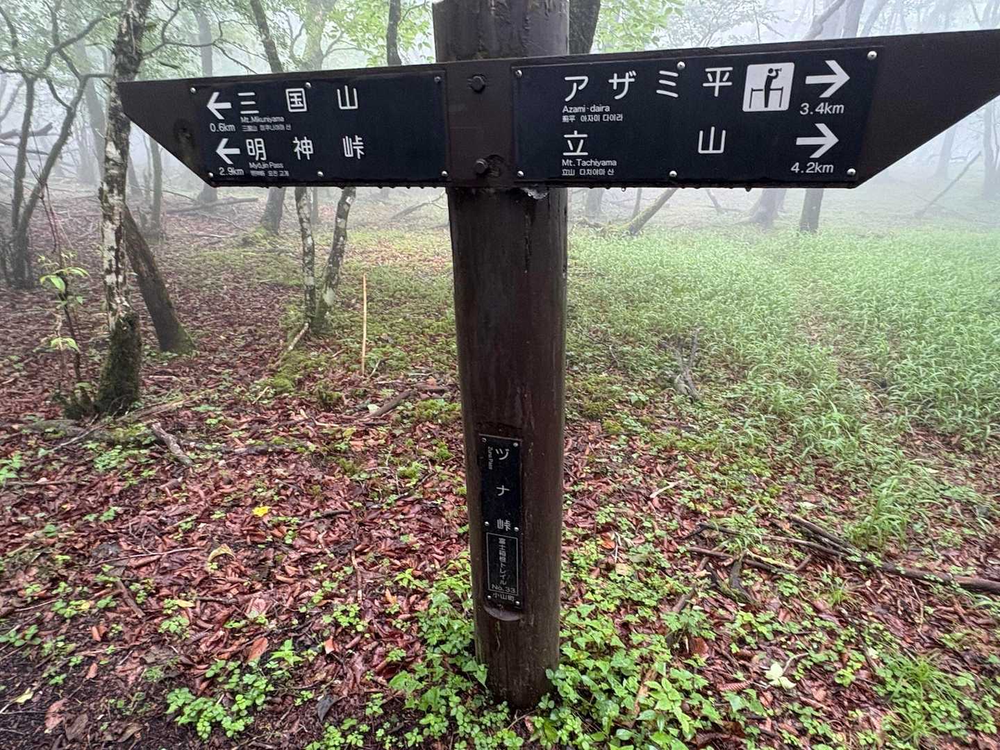 三国峠-三国山-楢木山-大洞山 往復コースの写真
