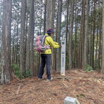 宍粟50名山No.41
宮山(山﨑)646m山頂に到着です
