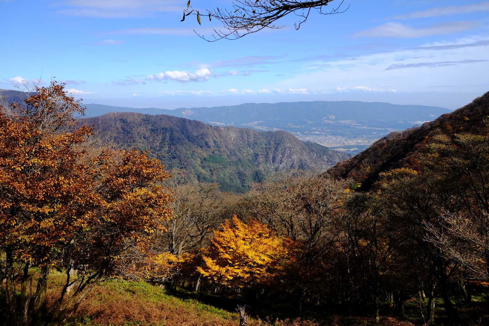 石榑峠-竜ヶ岳-銚子岳-治田峠-多志田山-藤原岳-藤原岳登 縦走コースの写真