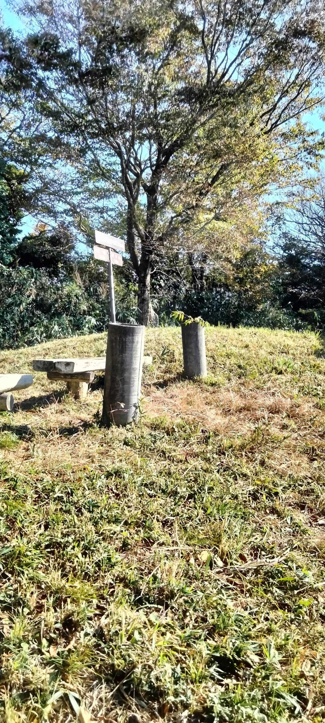 山頂に到着