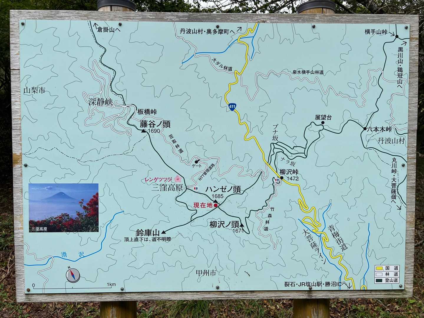 柳沢峠-ハンゼノ頭 周回コースの写真