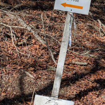 ここ寄らなくてよかった👻