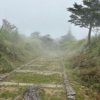 おお、幻想的ヾ(*ΦωΦ)ﾉﾋｬｯﾎｩ