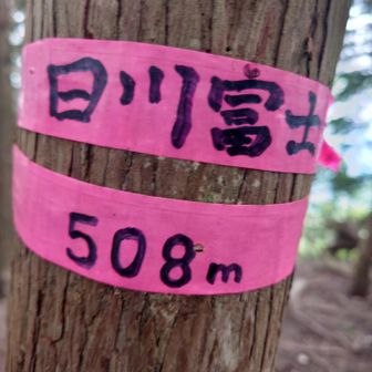 ピストンを選択したので
アップダウンキツかったけど

ここから　また同じことの繰り返しや〜💦