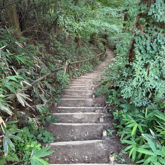 下山はずーっと木の階段です💦