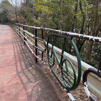 駐車場まで舗装路。

可愛い自転車🚲の柵。