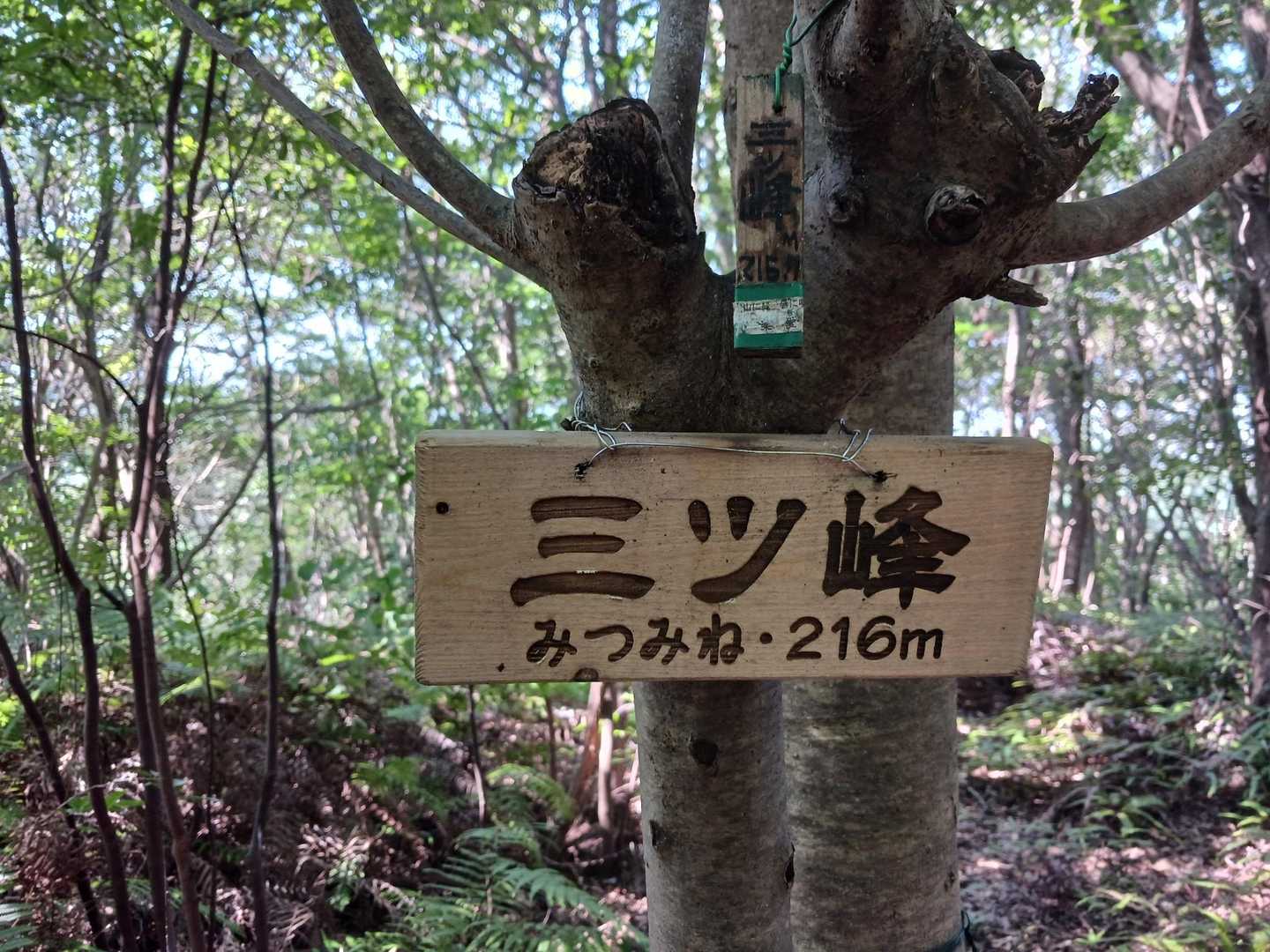 三ツ峰-三ツ峰登山口-むらさき平 周回コースの写真