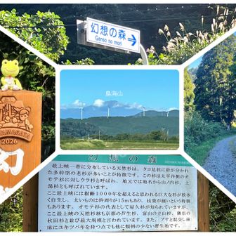 🌙山の帰りに寄り道しました
(ほぼ🚗💨です....😅)