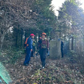 背の高〜いみんみんさん👍😆
薮を掻き分けるのに有利な身長😝