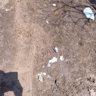 この後下りはドロドロ道。すべるすべる💦ここで転んじゃいました😵
チェーンスパ全く効きませんでした。
この時期、受験生は来ちゃだめよ🙅