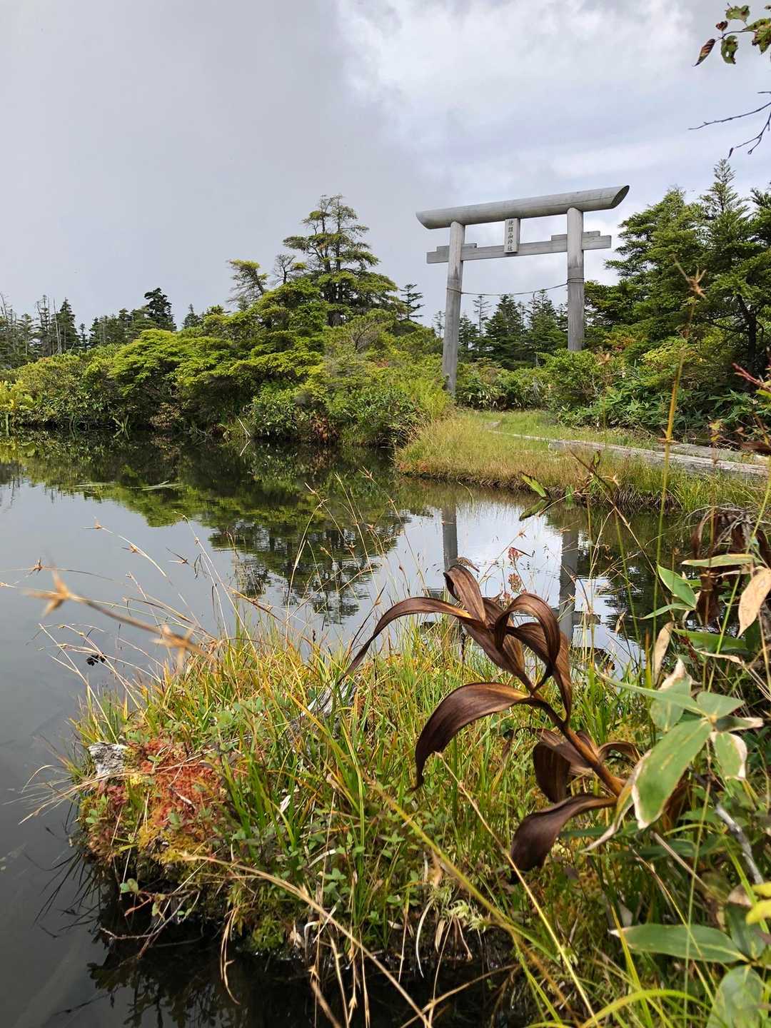 焼額山-奥志賀高原ホテルバス停 縦走コースの写真