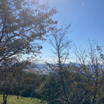 山頂からはいい景色