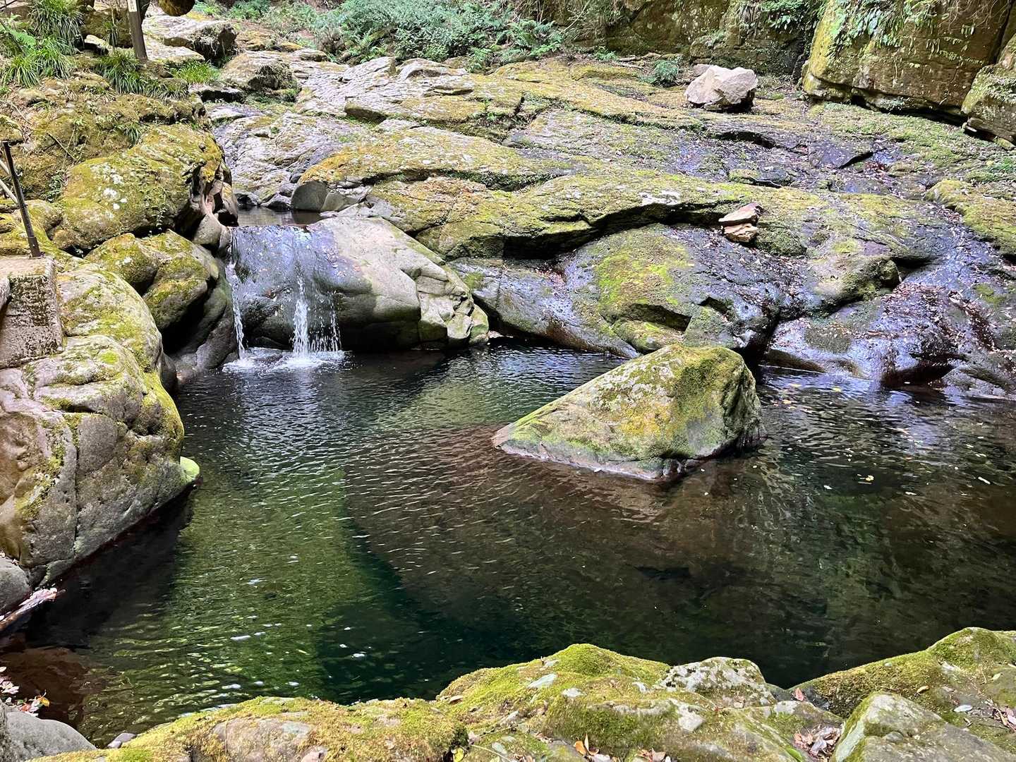 長坂山入山口-長坂山-赤目滝バス停 縦走コースの写真