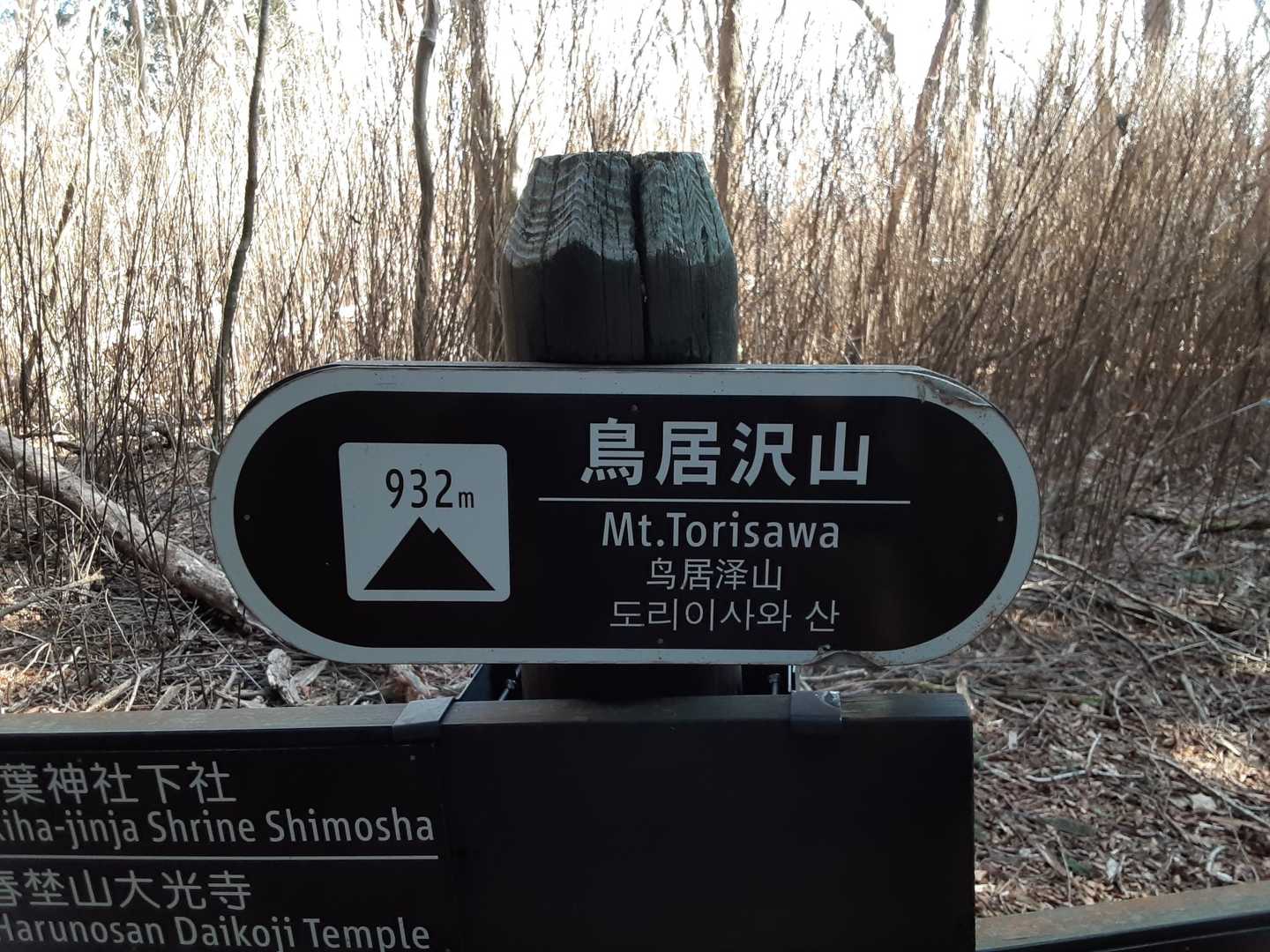 鳥居沢山⛰️932mです。