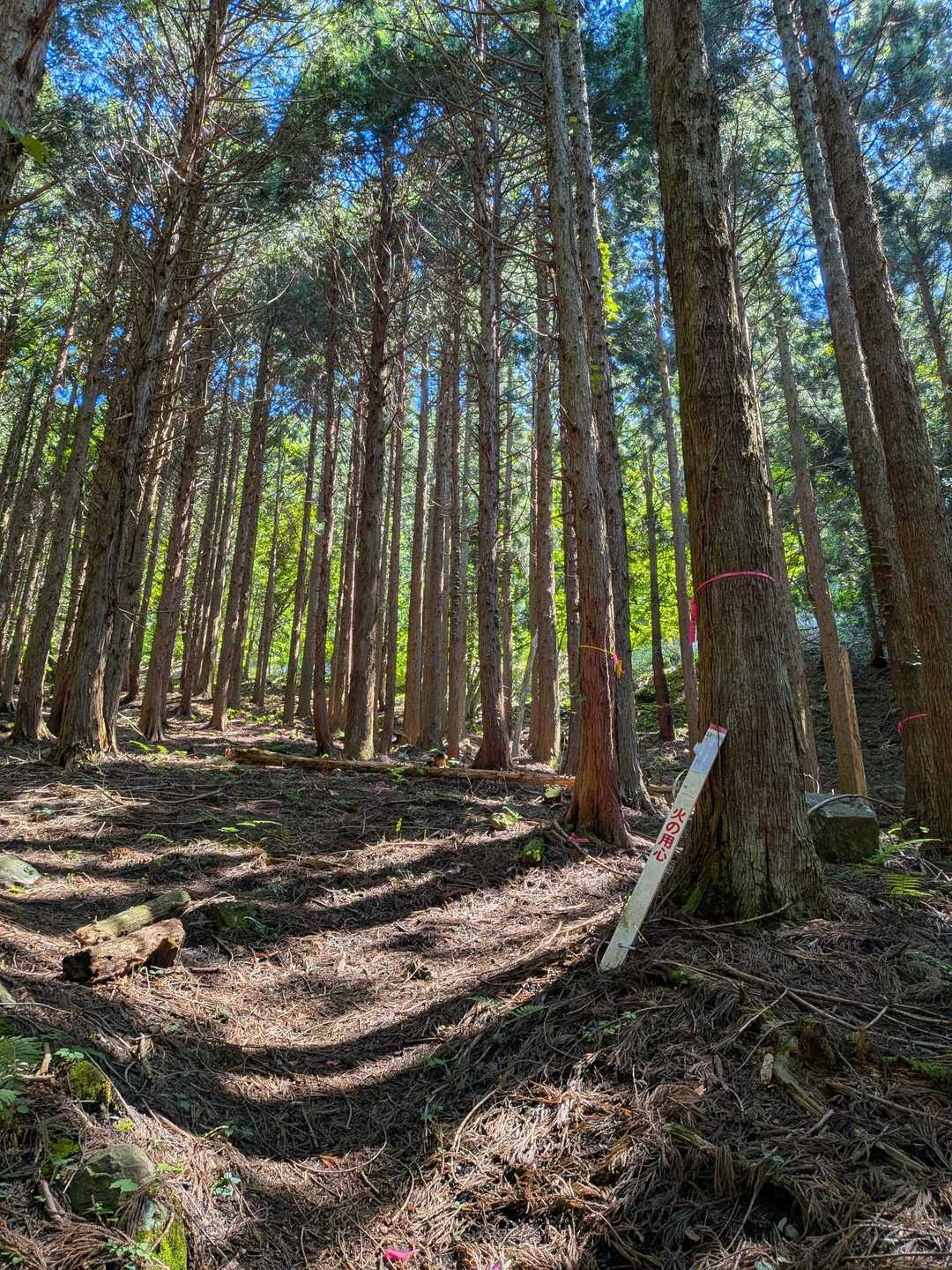三徳山 往復コースの写真
